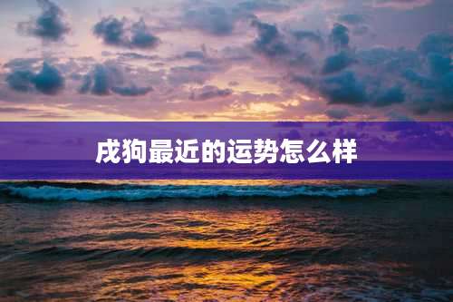 戌狗最近的运势怎么样