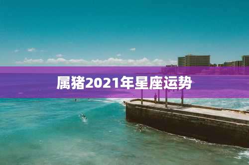 属猪2021年星座运势