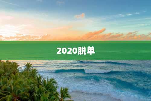2020脱单