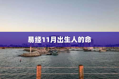 易经11月出生人的命