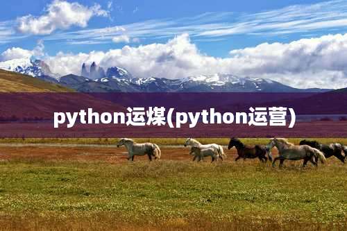 python运煤(python运营)