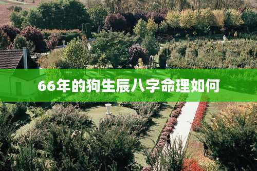 66年的狗生辰八字命理如何