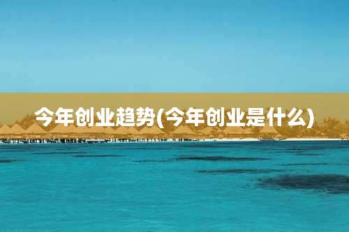 今年创业趋势(今年创业是什么)