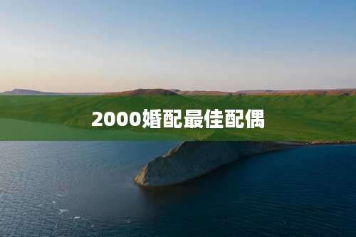 2000婚配最佳配偶