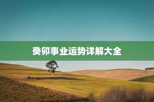 癸卯事业运势详解大全