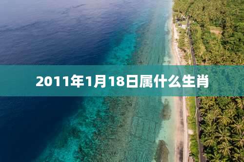 2011年1月18日属什么生肖