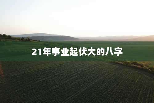 21年事业起伏大的八字