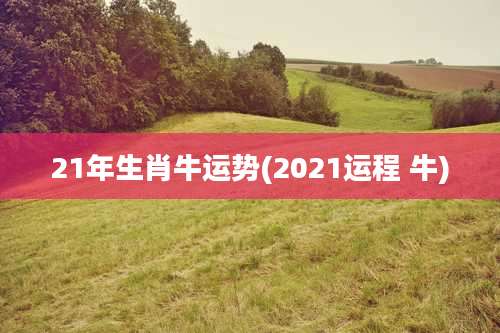 21年生肖牛运势(2021运程 牛)