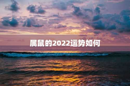 属鼠的2022运势如何