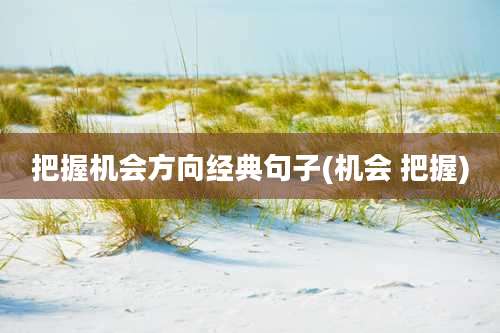 把握机会方向经典句子(机会 把握)