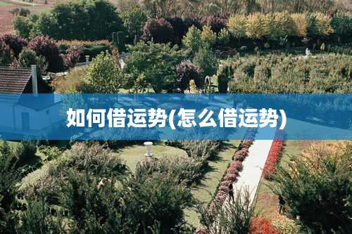 如何借运势(怎么借运势)