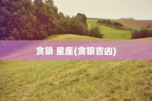 贪狼 星座(贪狼吉凶)