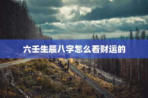 六壬生辰八字怎么看财运的