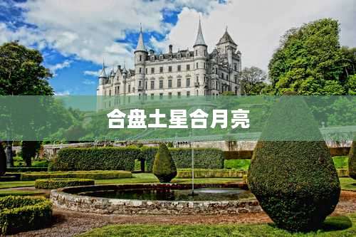 合盘土星合月亮