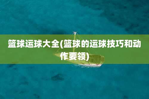 篮球运球大全(篮球的运球技巧和动作要领)