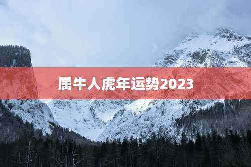 属牛人虎年运势2023