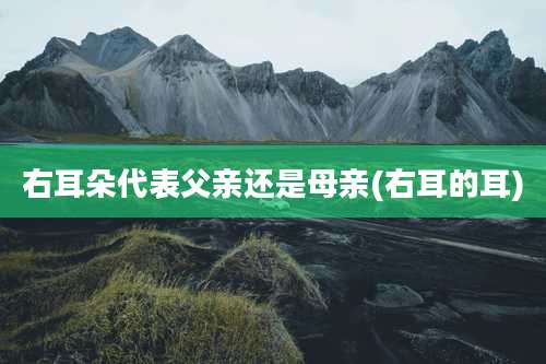 右耳朵代表父亲还是母亲(右耳的耳)