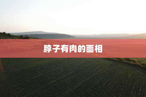 脖子有肉的面相