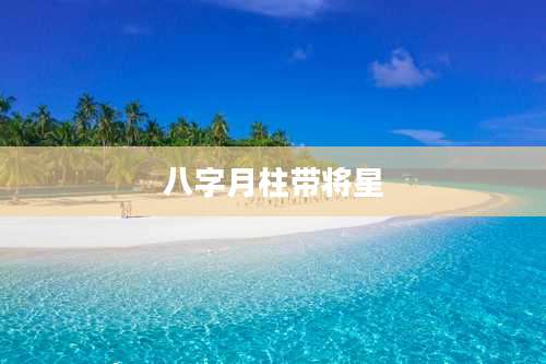 八字月柱带将星
