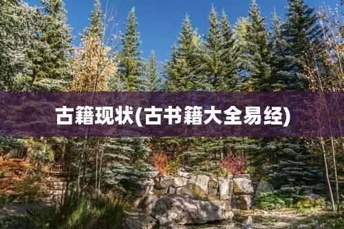 古籍现状(古书籍大全易经)
