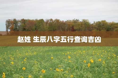 赵姓 生辰八字五行查询吉凶