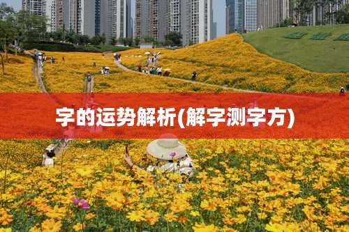 字的运势解析(解字测字方)