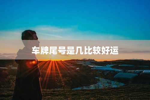 车牌尾号是几比较好运
