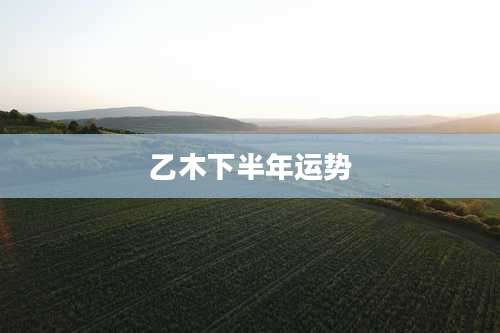 乙木下半年运势