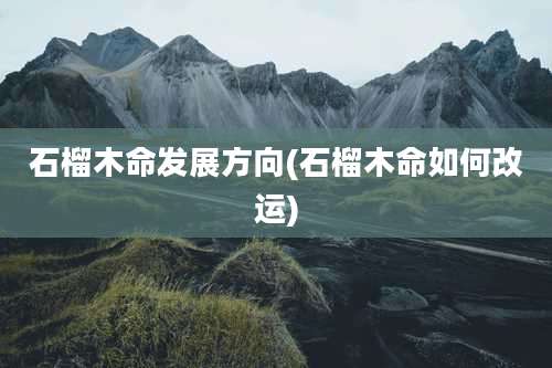 石榴木命发展方向(石榴木命如何改运)