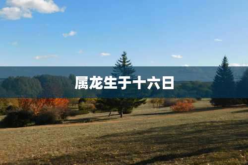 属龙生于十六日
