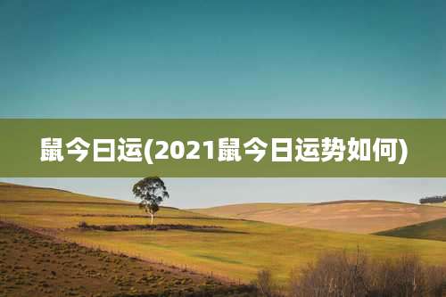 鼠今曰运(2021鼠今日运势如何)