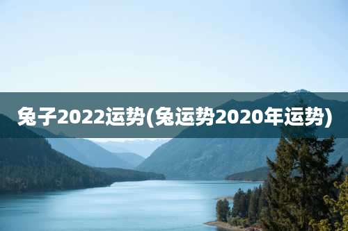 兔子2022运势(兔运势2020年运势)