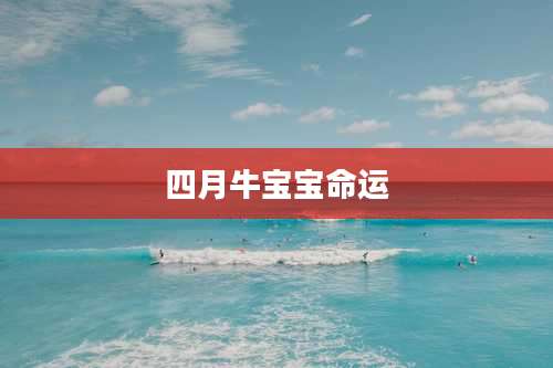 四月牛宝宝命运