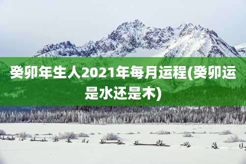 癸卯年生人2021年每月运程(癸卯运是水还是木)