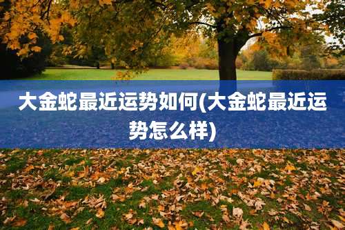 大金蛇最近运势如何(大金蛇最近运势怎么样)