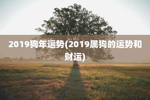 2019狗年运势(2019属狗的运势和财运)
