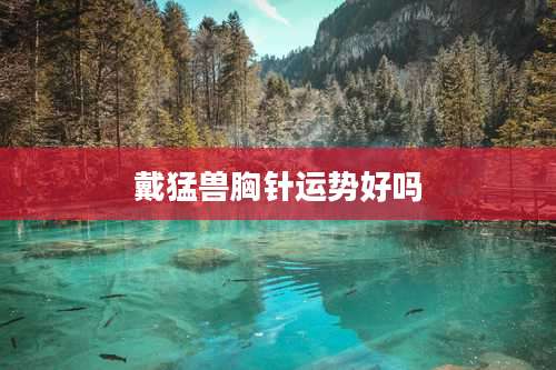 戴猛兽胸针运势好吗