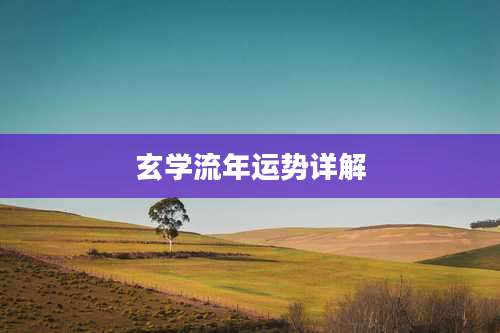 玄学流年运势详解
