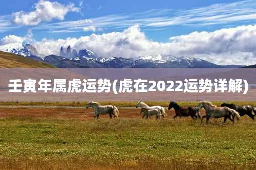 壬寅年属虎运势(虎在2022运势详解)