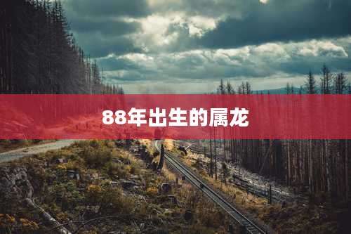 88年出生的属龙