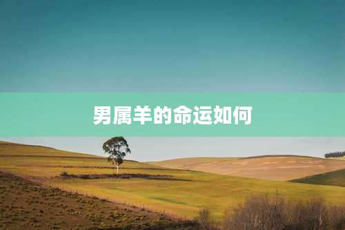 男属羊的命运如何