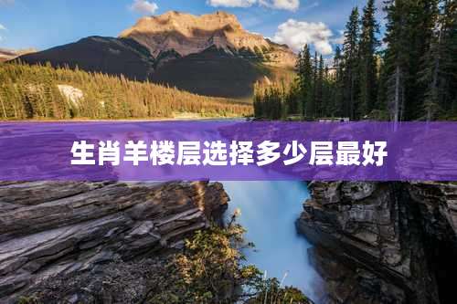 生肖羊楼层选择多少层最好