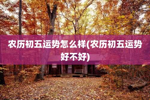 农历初五运势怎么样(农历初五运势好不好)