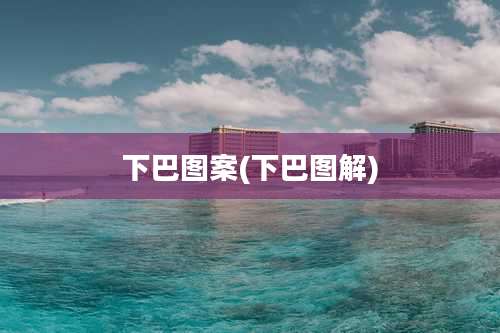 下巴图案(下巴图解)