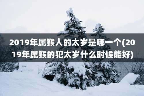 2019年属猴人的太岁是哪一个(2019年属猴的犯太岁什么时候能好)