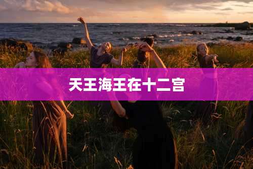 天王海王在十二宫