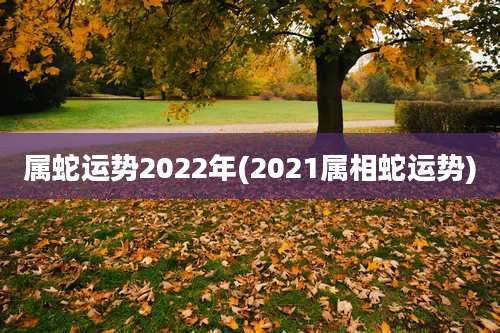 属蛇运势2022年(2021属相蛇运势)