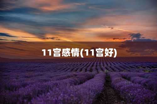 11宫感情(11宫好)