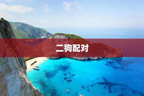 二狗配对