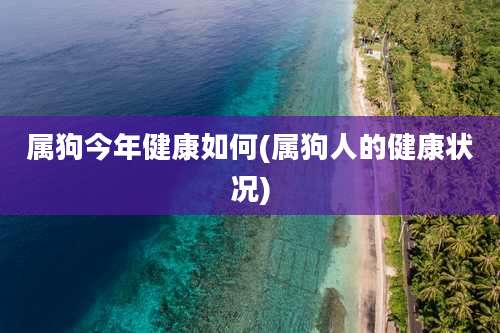 属狗今年健康如何(属狗人的健康状况)
